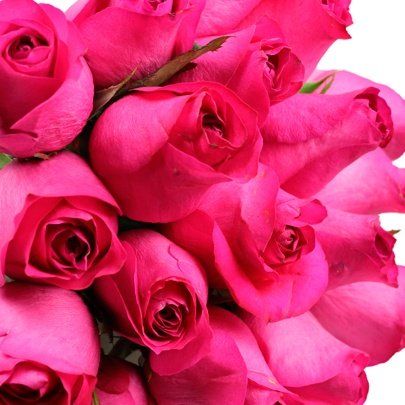Buquê de 18 Rosas Pink