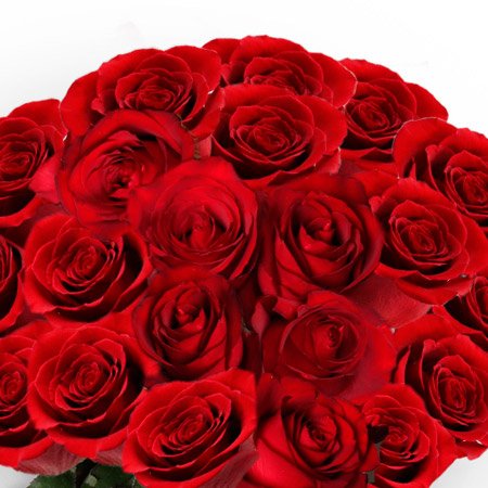 Ramalhete de 20 Rosas Vermelhas Veneza