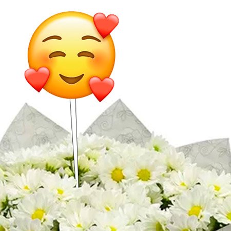 Mini Margaridinhas Brancas com Emoji Coraçãozinho
