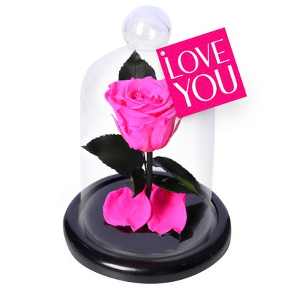 Mini Rosa Encantada Pink I Love You