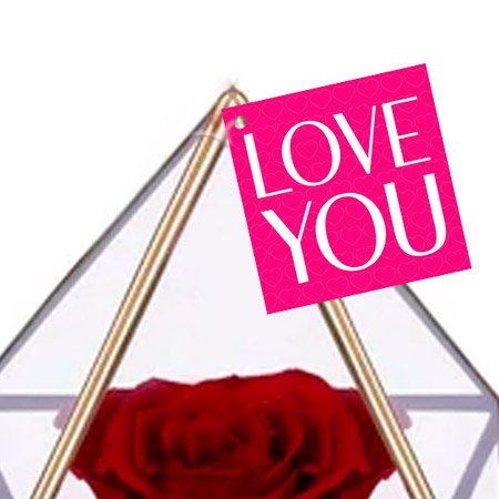 Pirâmide de Rosa Encantada Vermelha Love You