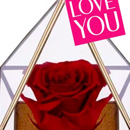 Pirâmide de Rosa Encantada Vermelha Love You