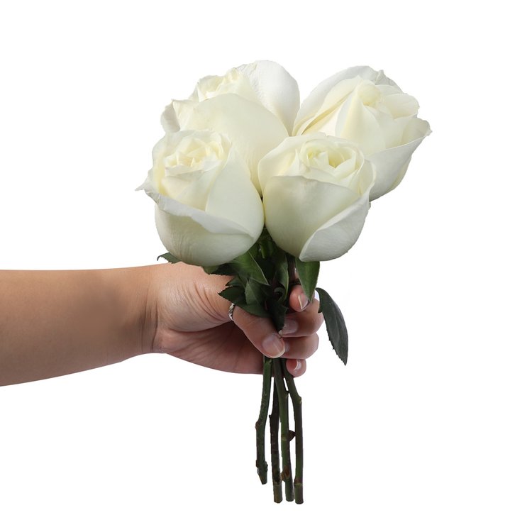 Ramalhete de 4 Rosas Brancas | Nova Flor