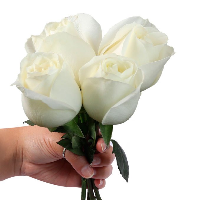 Ramalhete de 4 Rosas Brancas