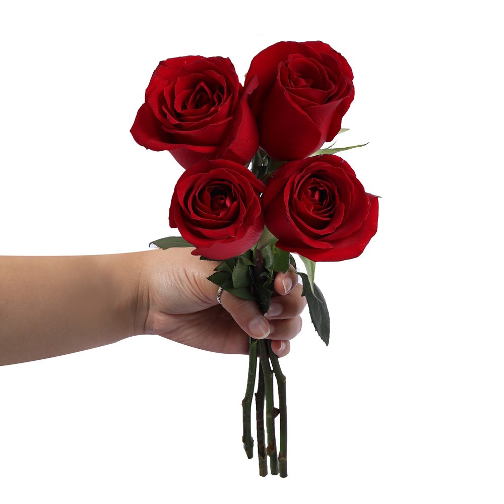 Ramalhete de 4 Rosas Vermelhas | Nova Flor