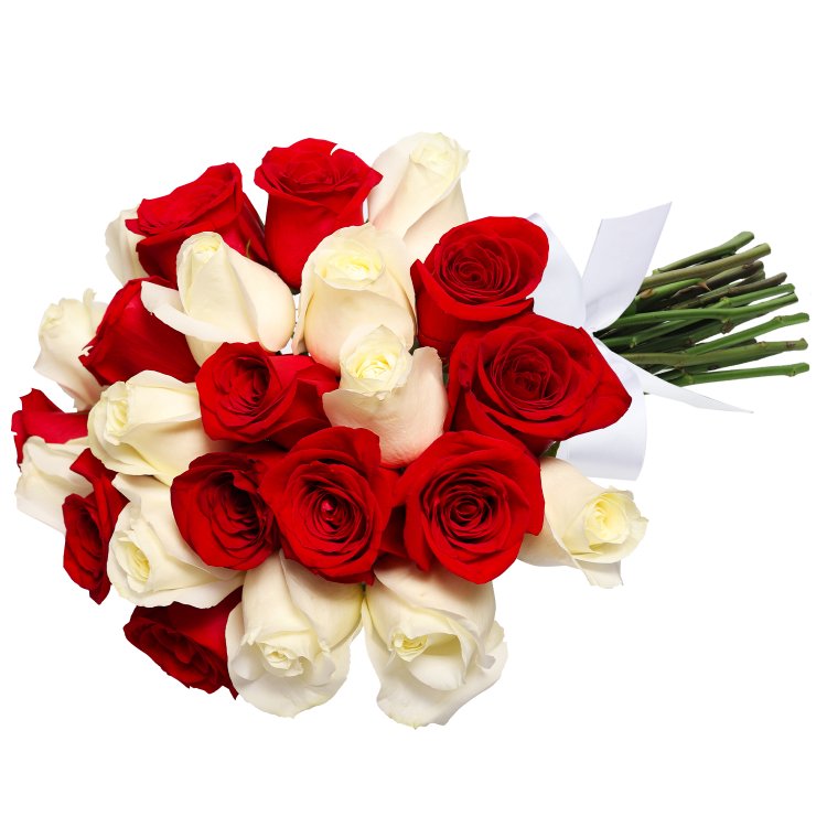 Buquê de 24 Rosas Vermelhas e Brancas