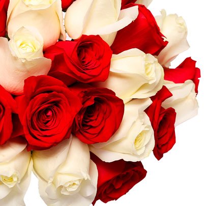 Buquê de 24 Rosas Vermelhas e Brancas