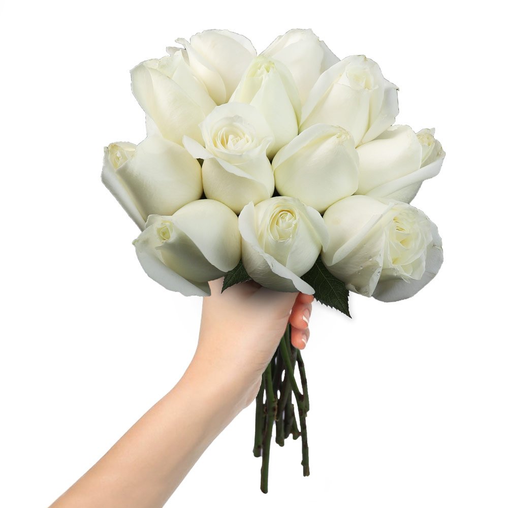 Ramalhete de 12 Rosas Brancas | Nova Flor
