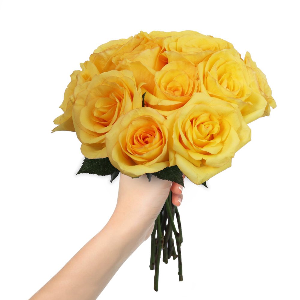 Ramalhete de 12 Rosas Amarelas | Nova Flor