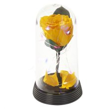 A Bela Rosa Encantada Estrelada Amarela