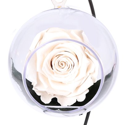 Pêndulo de Rosa Encantada Branco