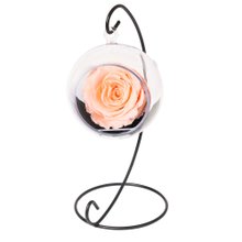 Pêndulo de Rosa Encantada Champanhe