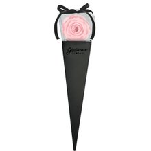 Cone Preto de Rosa Encantada Cor de Rosa