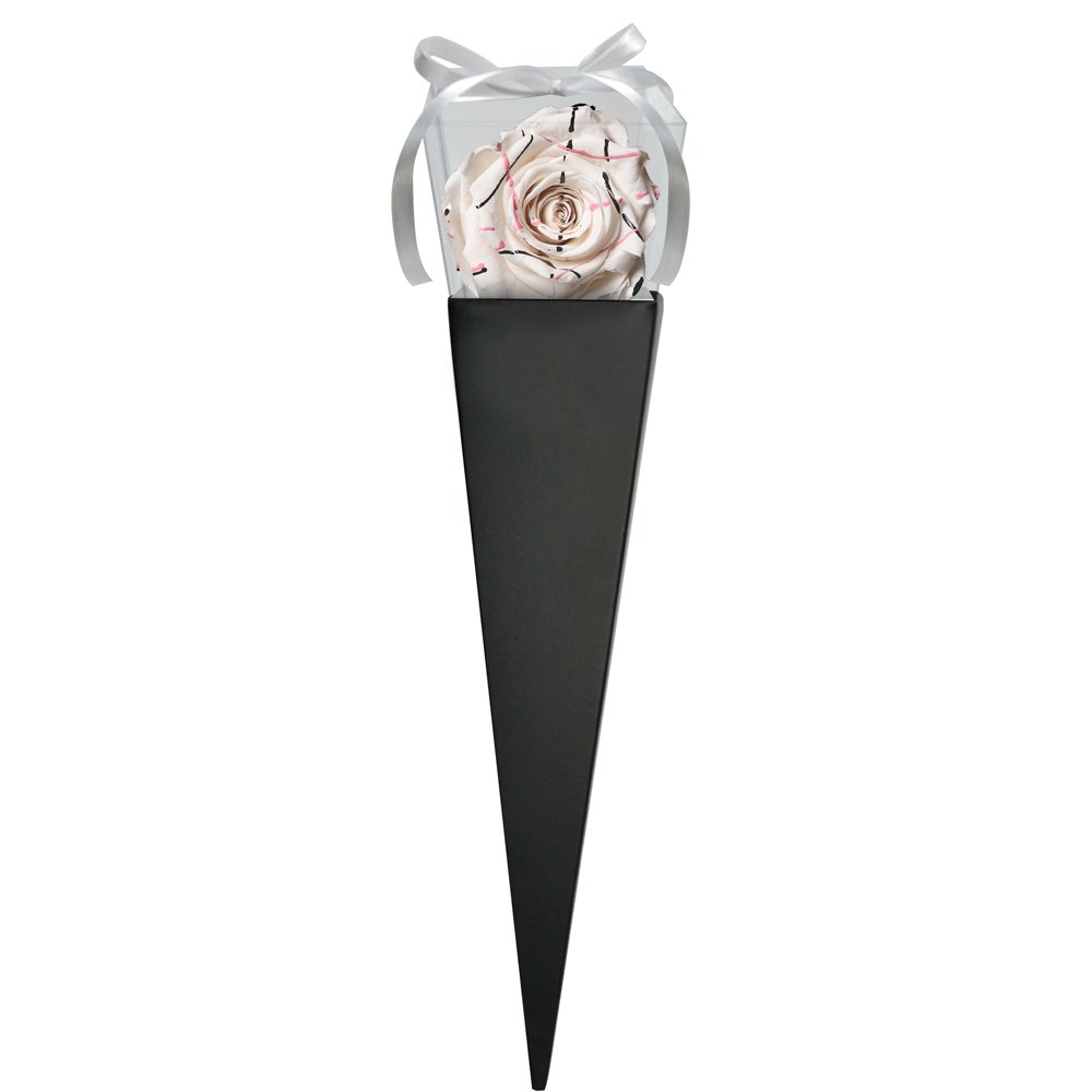 Cone Preto de Rosa Encantada Festiva