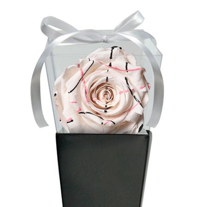 Cone Preto de Rosa Encantada Festiva