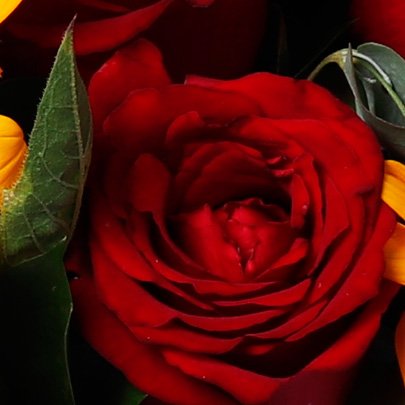 Girassol no Vaso com Rosas Vermelhas