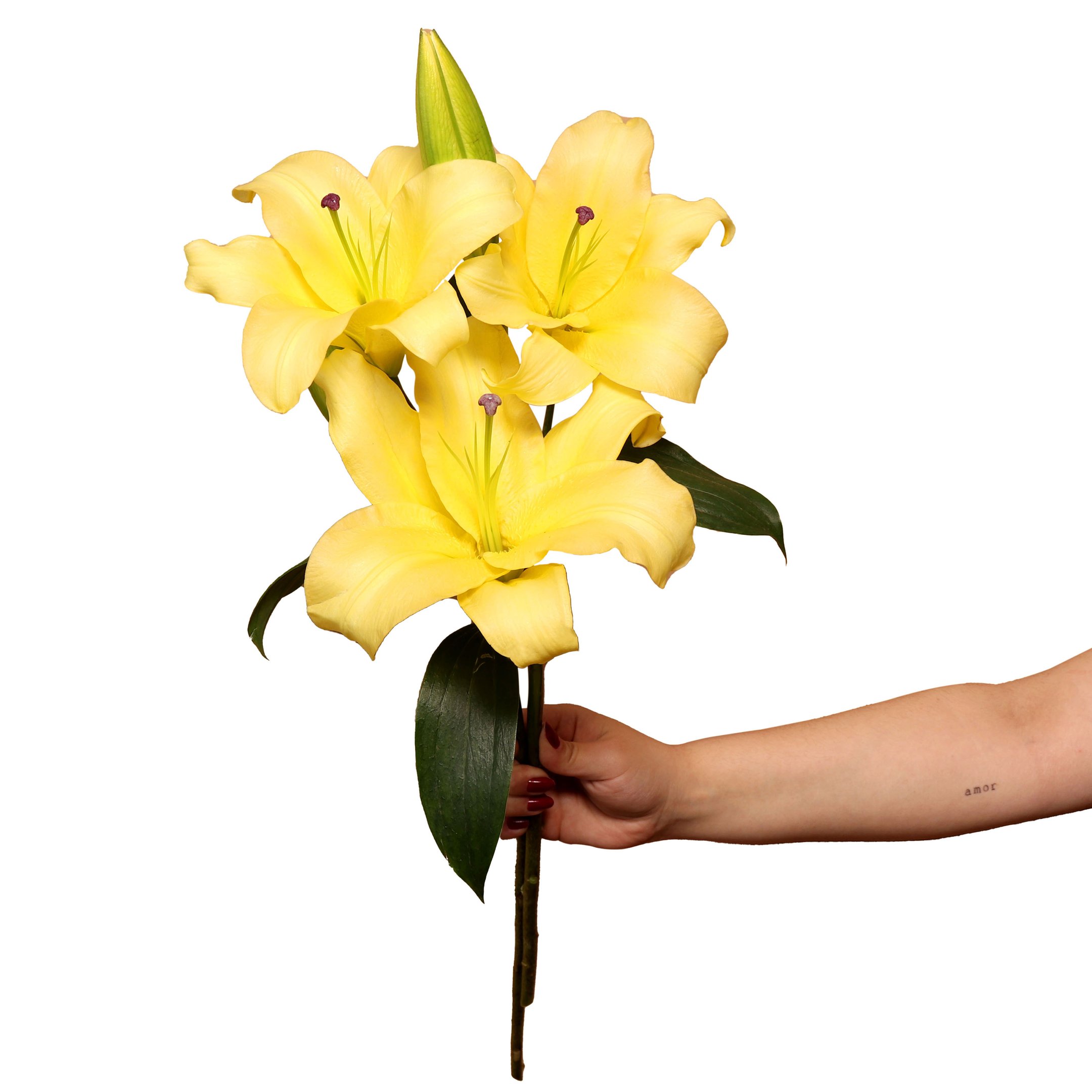 Lírio Amarelo Personalize - Galho com 3 Flores