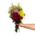 Mix de Flores e Pinóquio Personalize