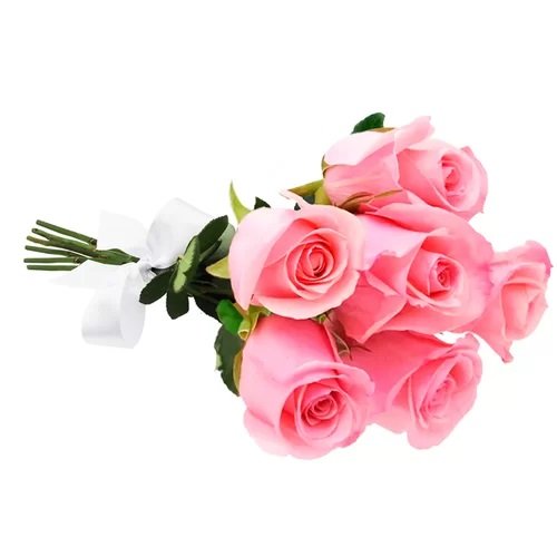 Buquê de 6 Rosas Cor de Rosa  e Almofada Sude Para Uma Mulher...