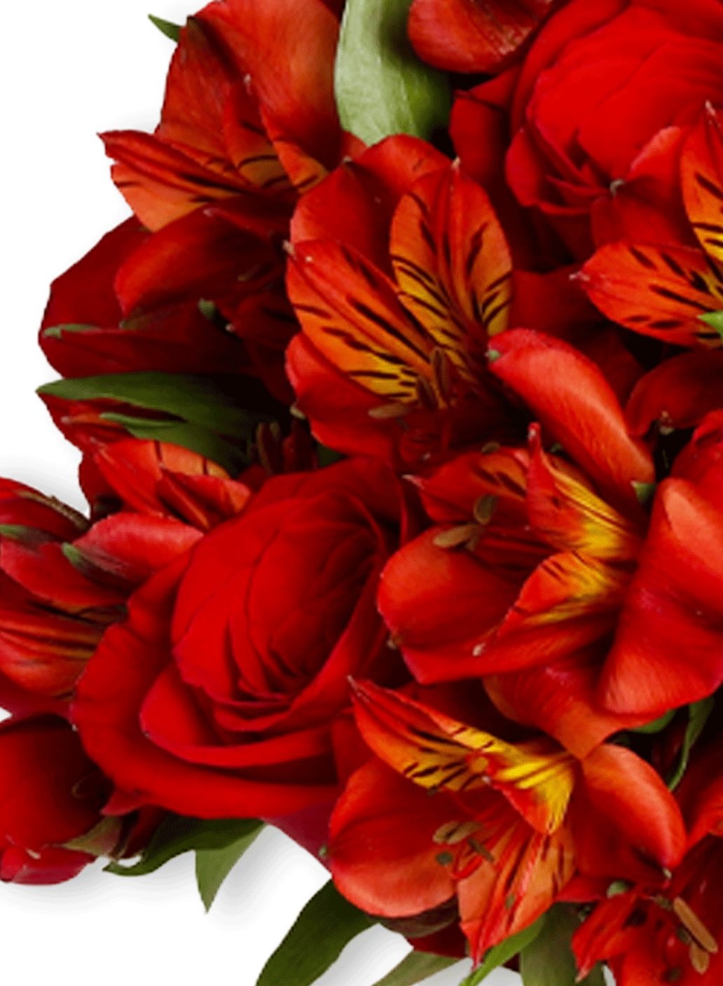 Delicadas Rosas Vermelhas e Astromélias no Box Aniversário