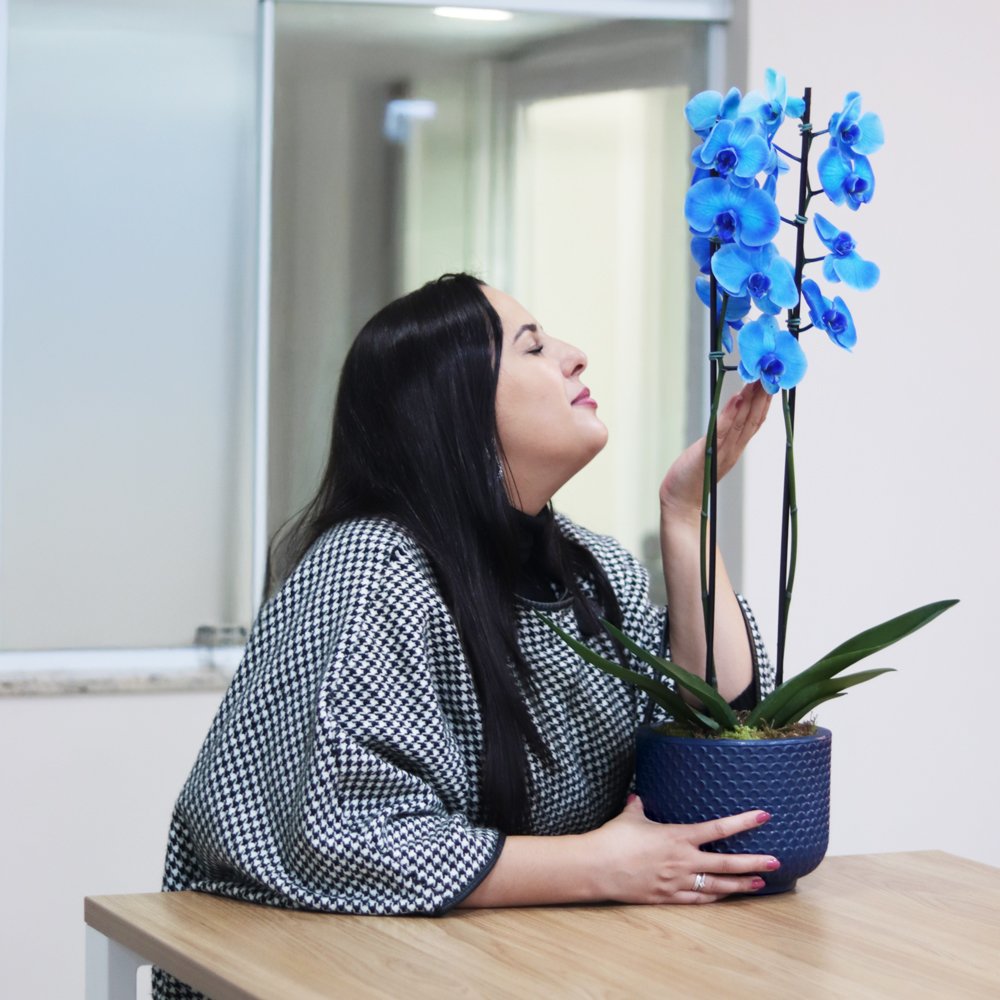 Orquídea Phalaenopsis Azul Decore