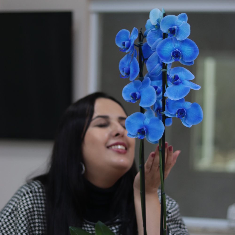 Orquídea Phalaenopsis Azul Decore