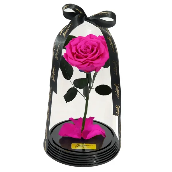 Fabulosa Rosa Encantada Pink