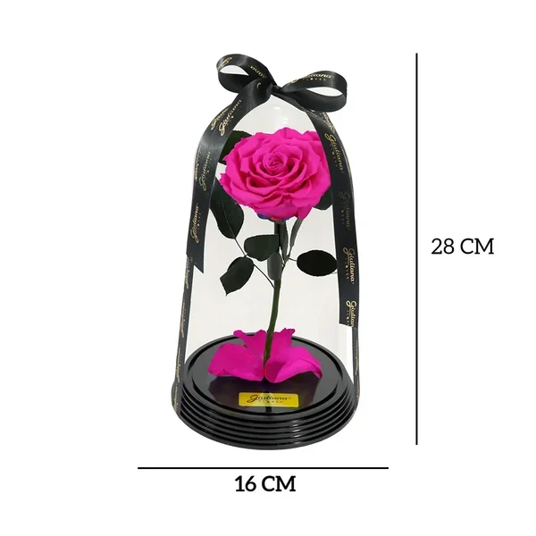Fabulosa Rosa Encantada Pink