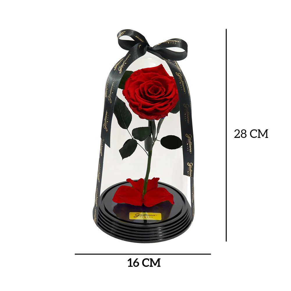 Fabulosa Rosa Encantada Vermelha