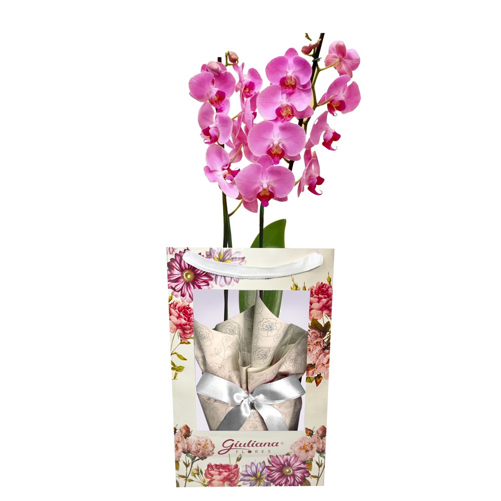 Orquídea Pink Presente na Bag Floral