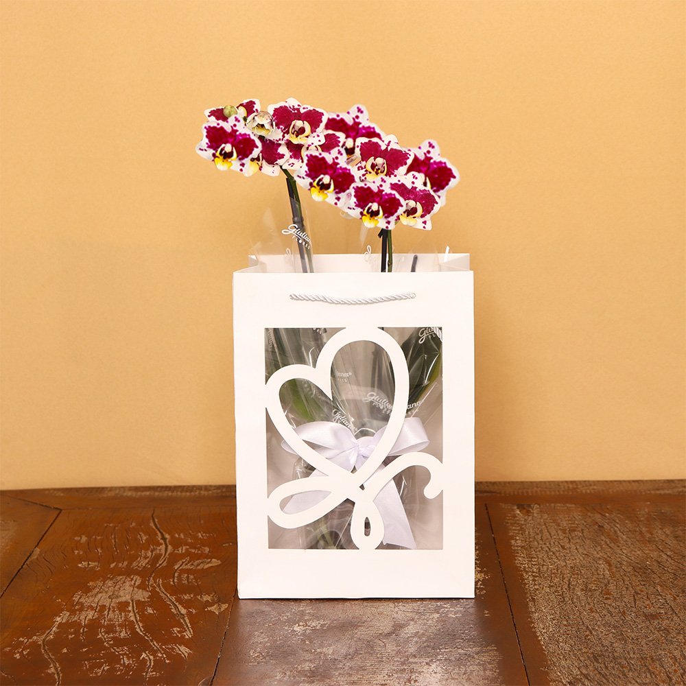 Mini Orquídea Rara Mesclada na Sacola White
