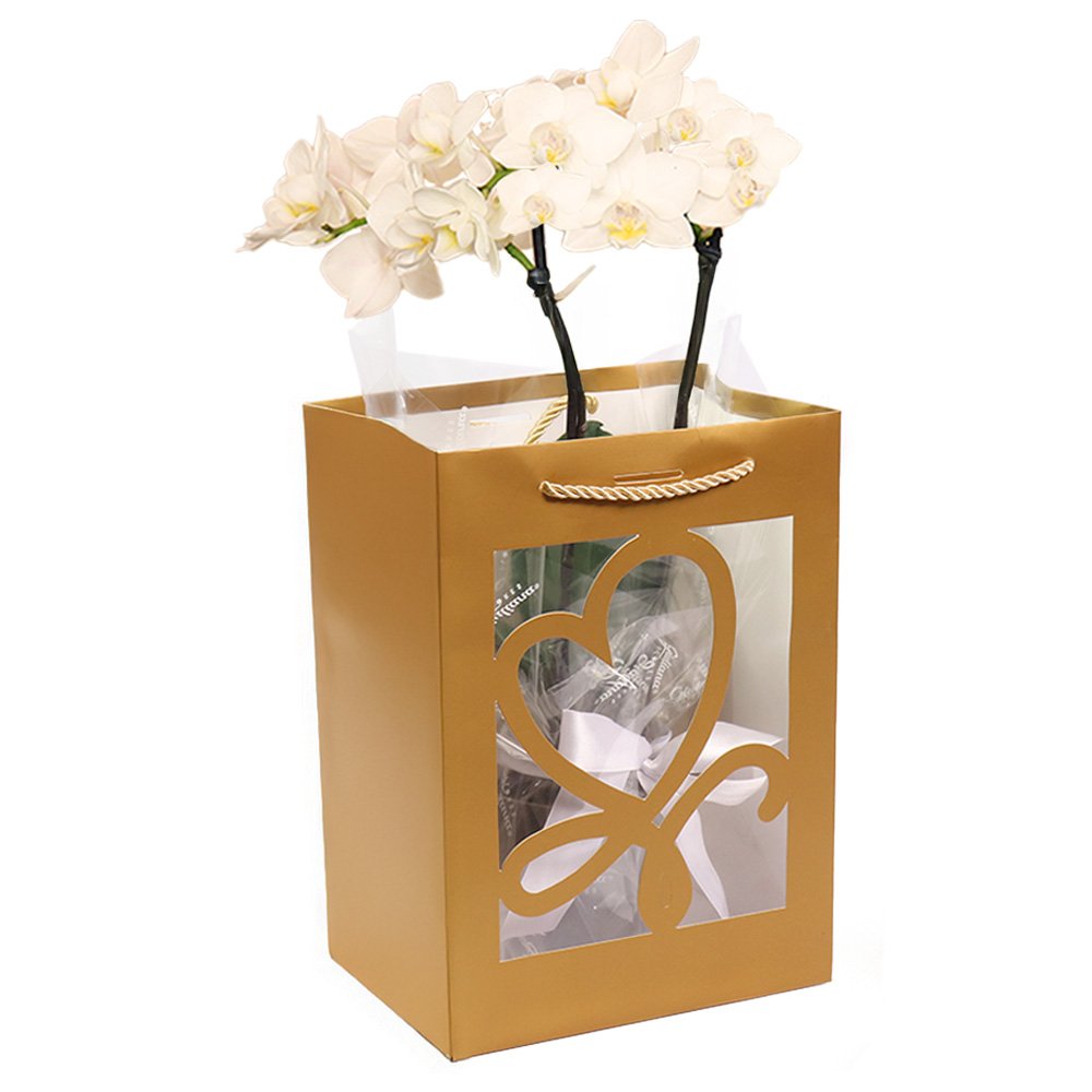 Mini Orquídea Rara Branca na Sacola Gold