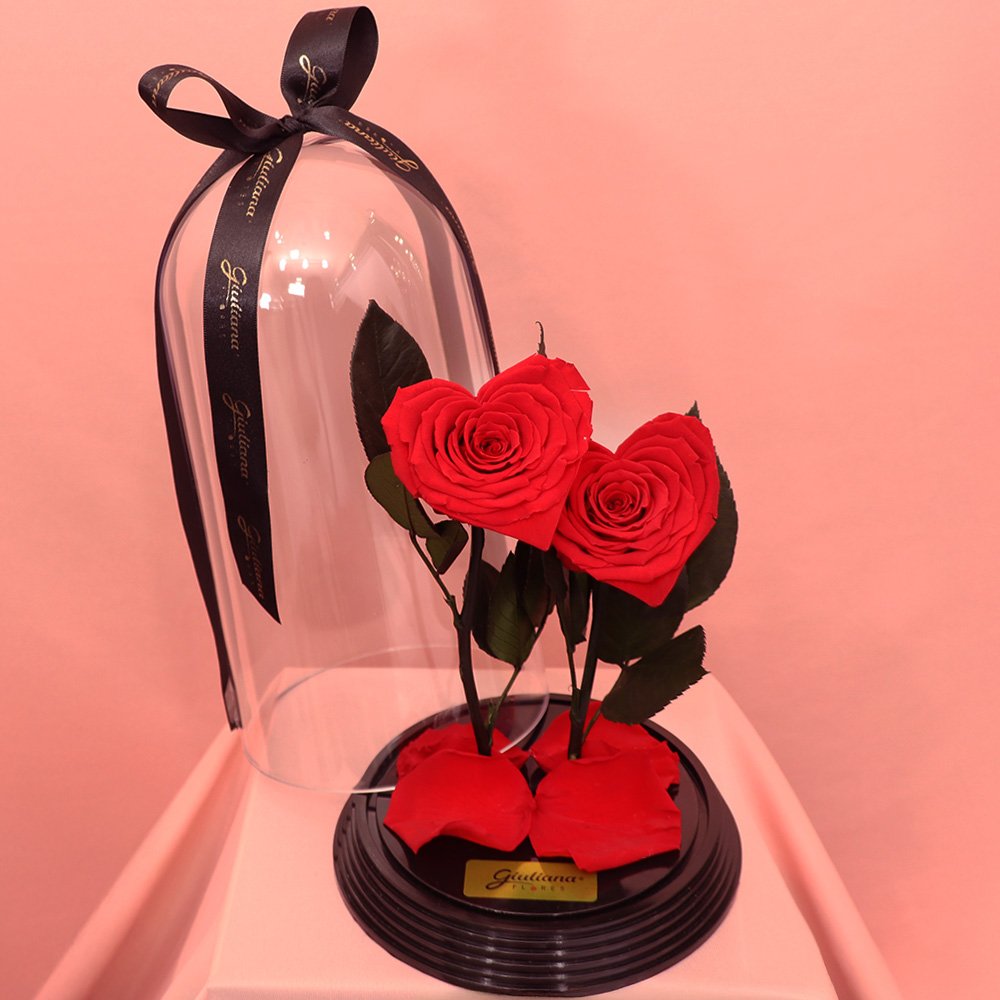 Dupla de Coração de Rosas Encantadas Vermelhas