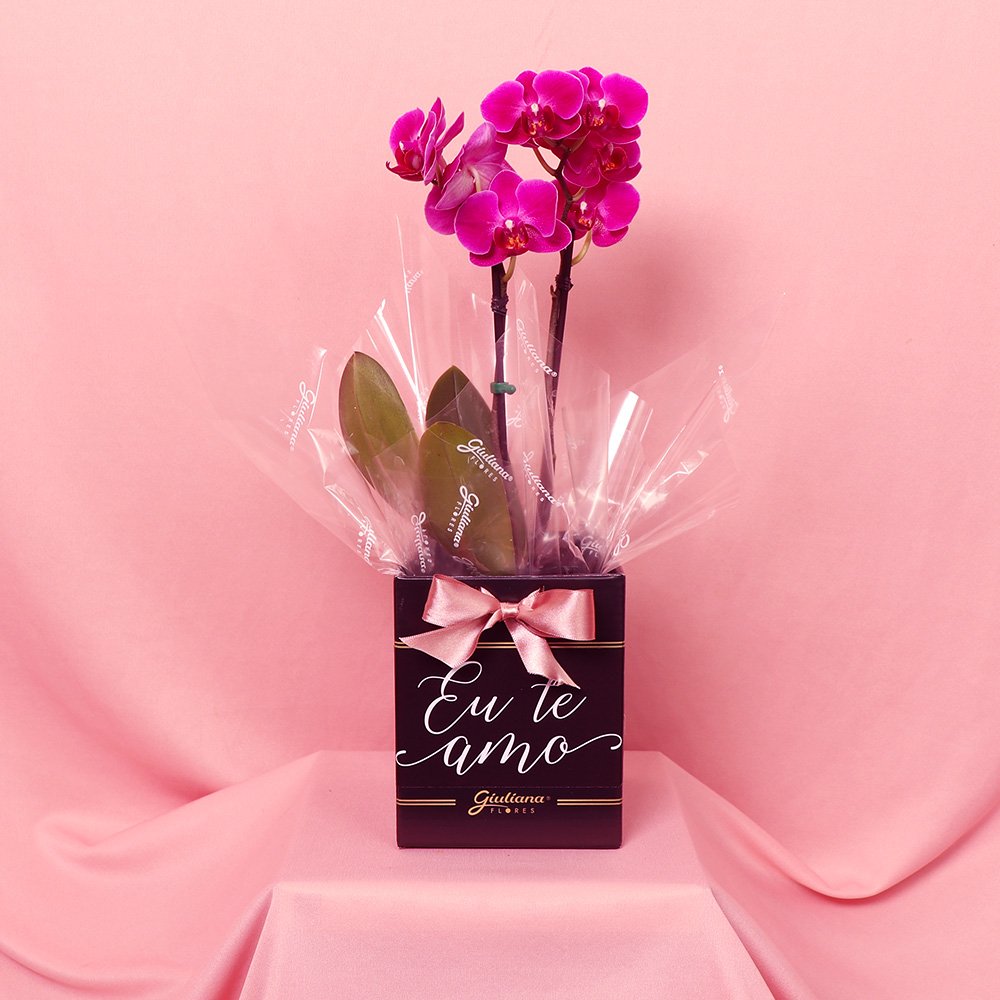 Orquídea Phalaenopsis Pink no Box Eu Te Amo