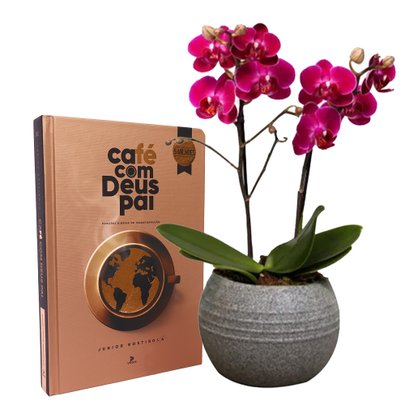 Formidável Orquídea Mini Rara Lilás e Livro Café com Deus Pai
