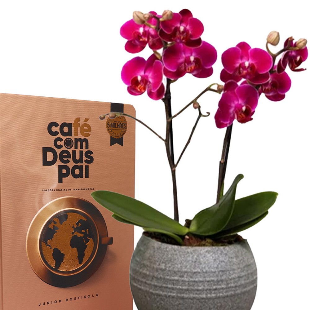 Formidável Orquídea Mini Rara Lilás e Livro Café com Deus Pai