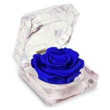 Imagem de Diamante de Mini Rosa Encantada Azul