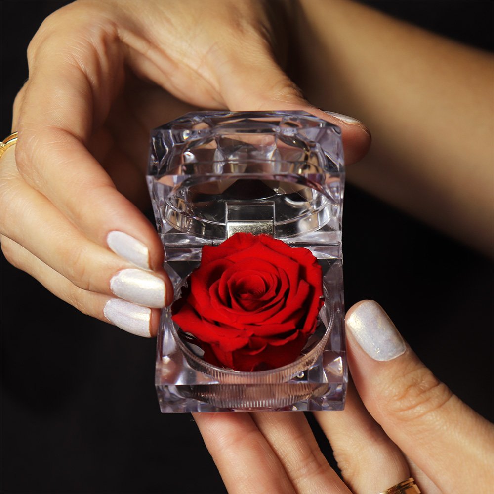 Diamante de Mini Rosa Encantada Vermelha