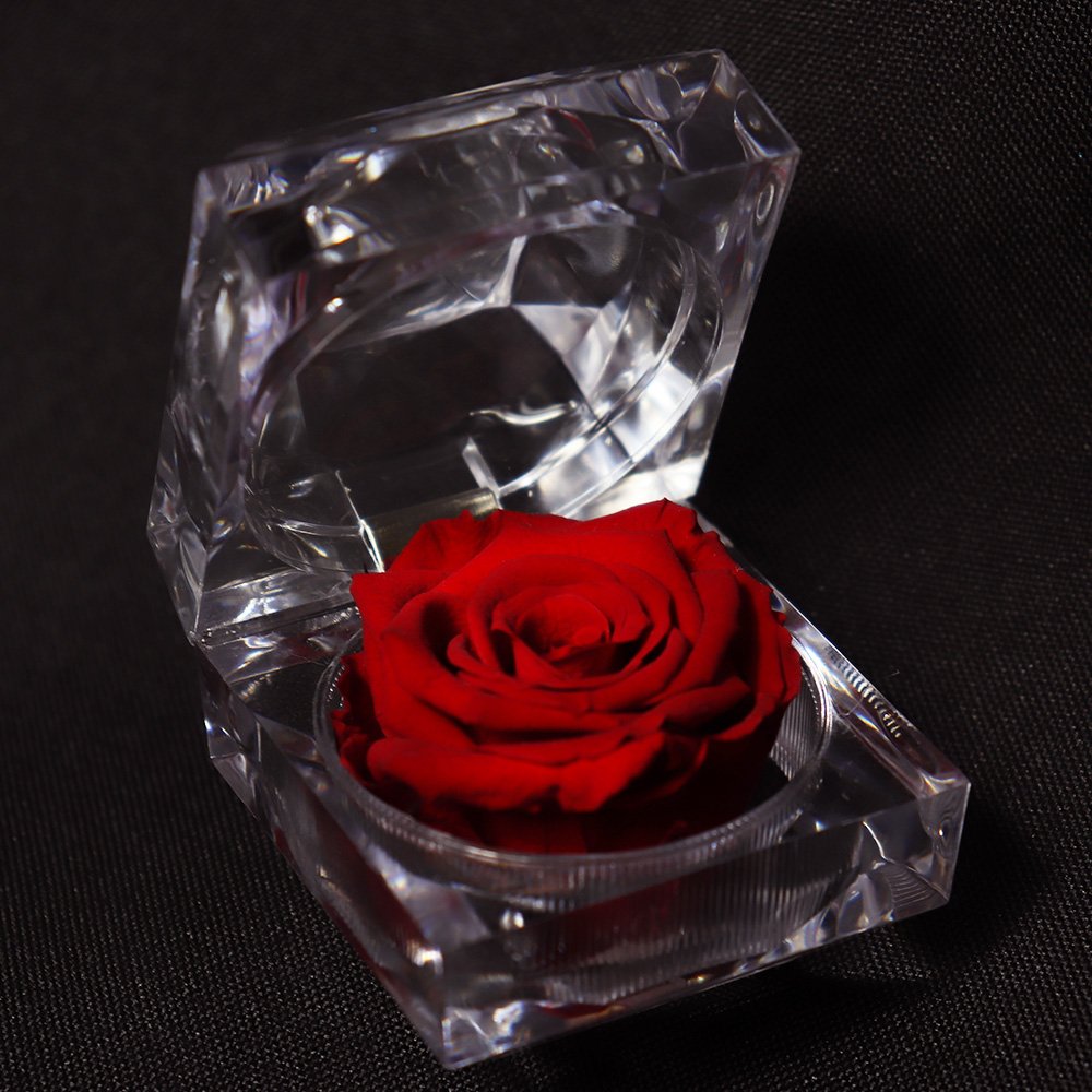 Diamante de Mini Rosa Encantada Vermelha