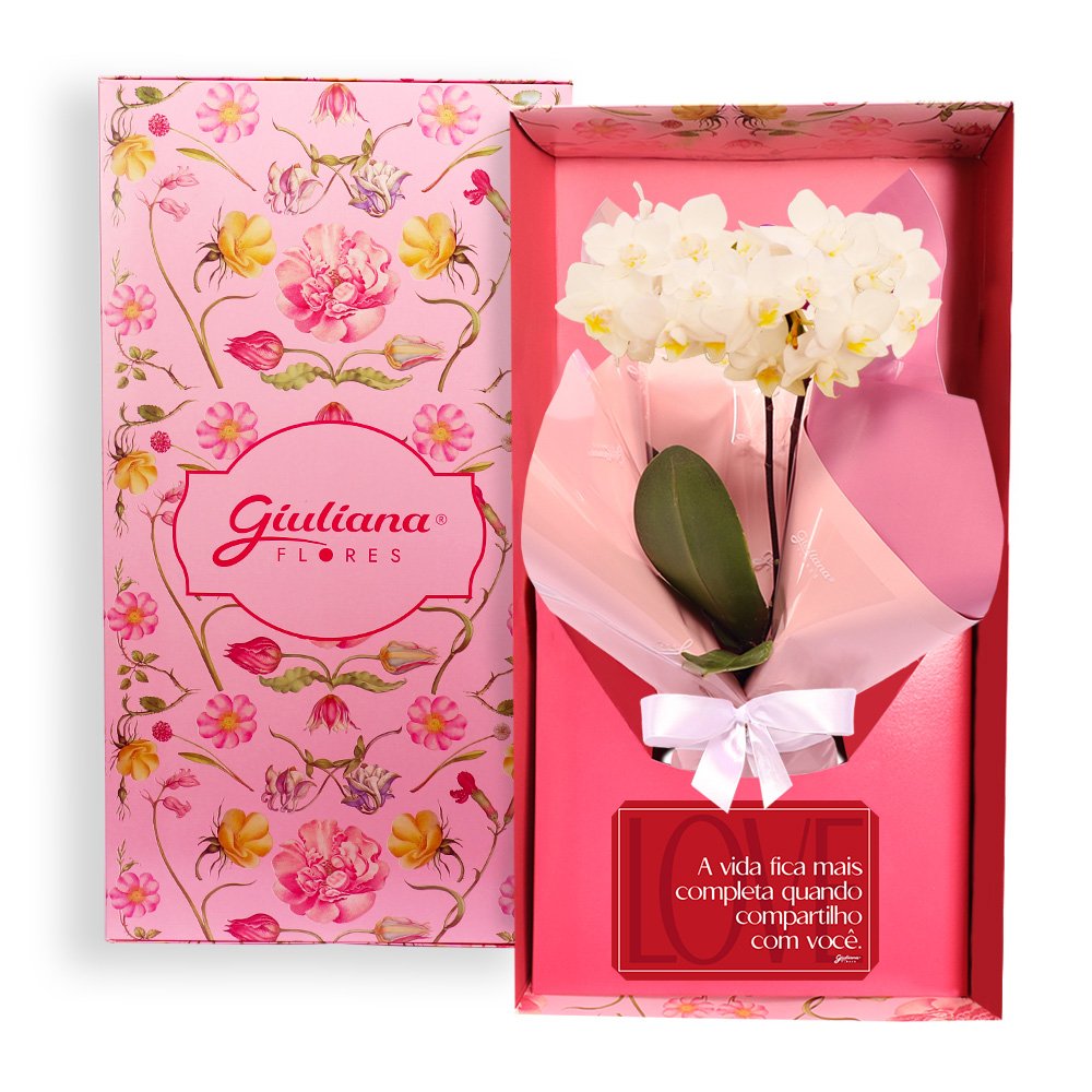 Mini Orquídea Rara Branca Virtuosa no Box Namorados