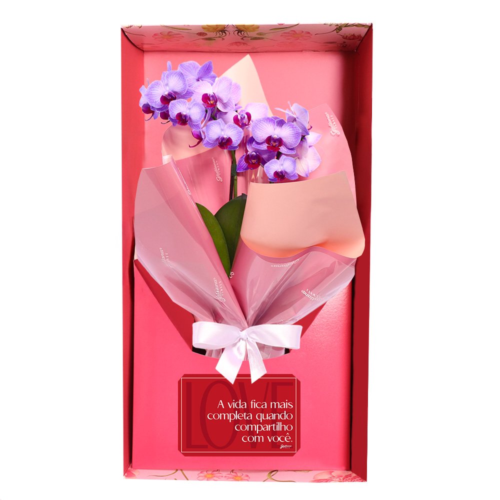 Mini Orquídea Rara Violeta Virtuosa no Box Namorados