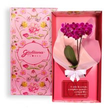 Mini Orquídea Rara Lilás Virtuosa no Box Namorados