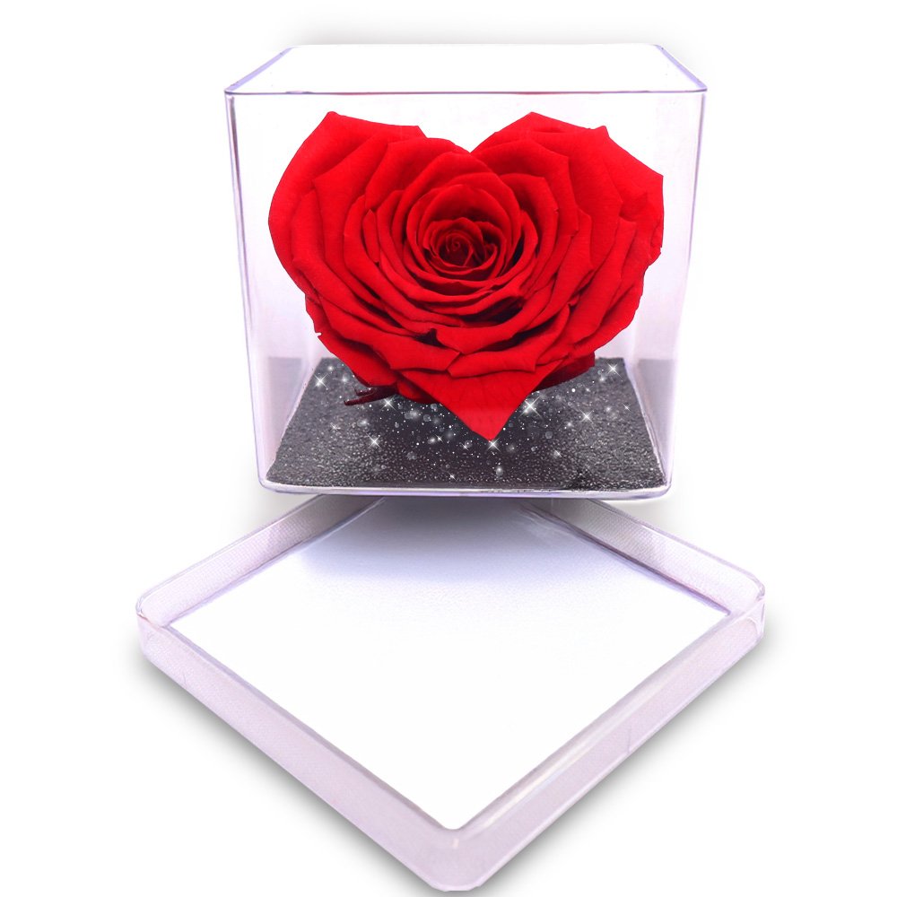 Mini Box com Coração de Rosa Encantada Vermelha