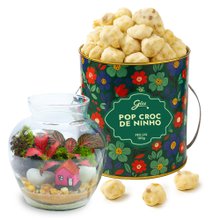 Terrário Mini Mundo e Pipoca Giuliana Flores