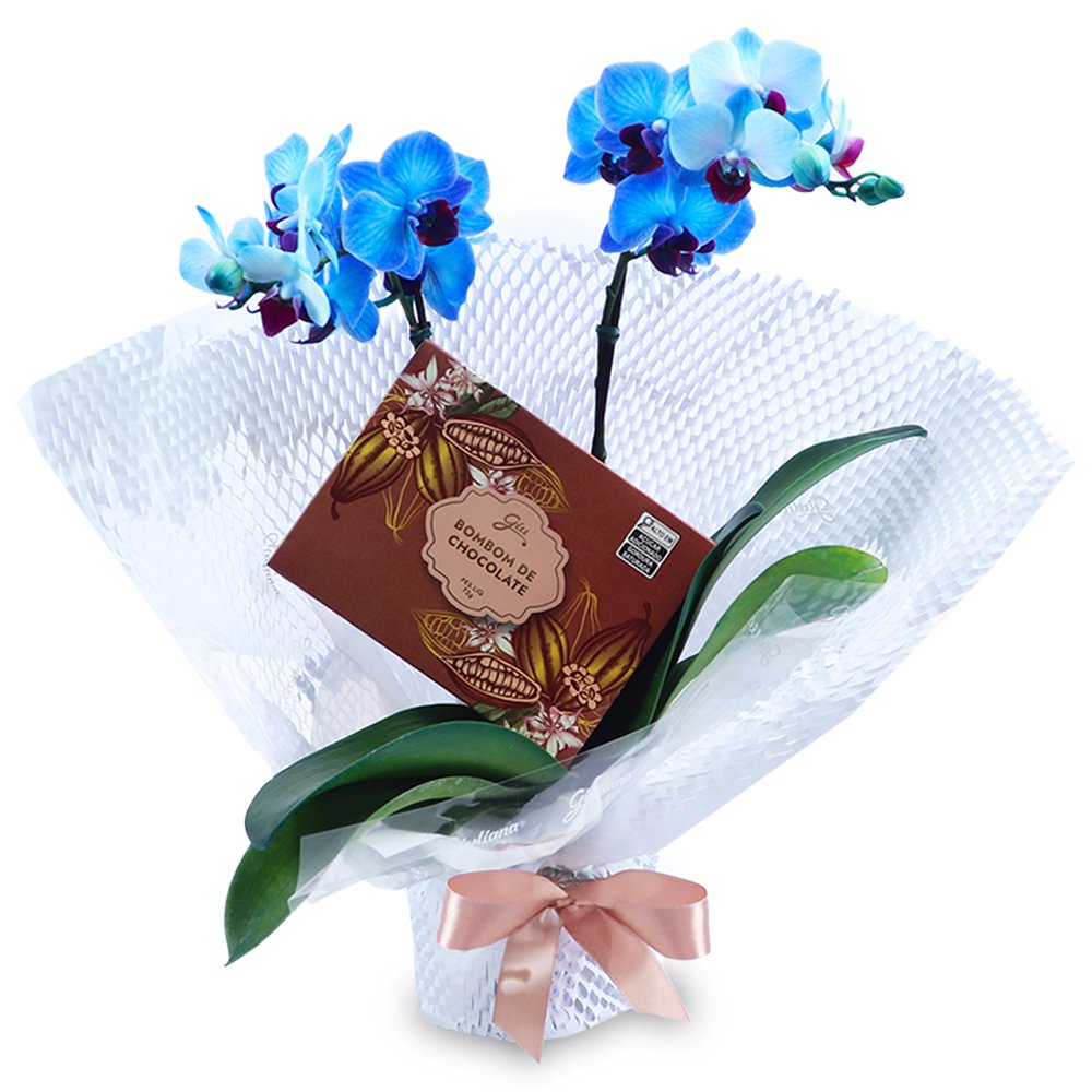 Mini Orquídea Rara Azul e Caixa de Bombom Giuliana Flores