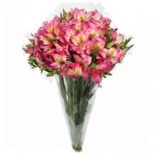 Buquê de Astromélias Cor de Rosa com 10 unidades