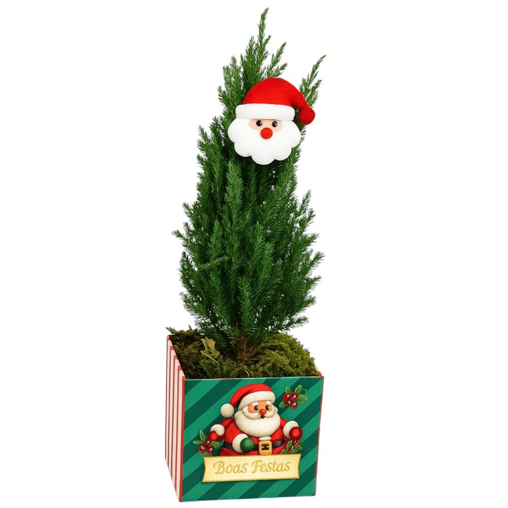 Pinheirinho Iluminado de Natal