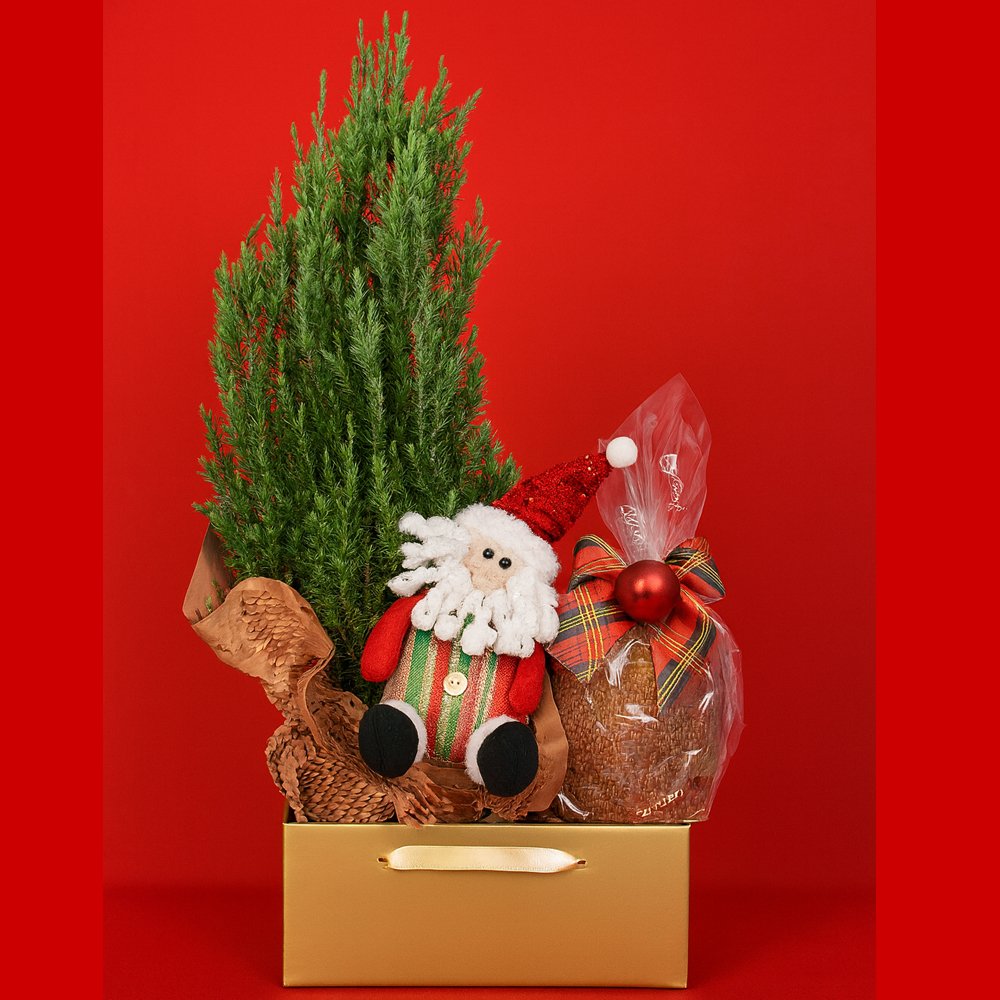 Cesta Natal de Ouro com Pinheirinho e Panettone