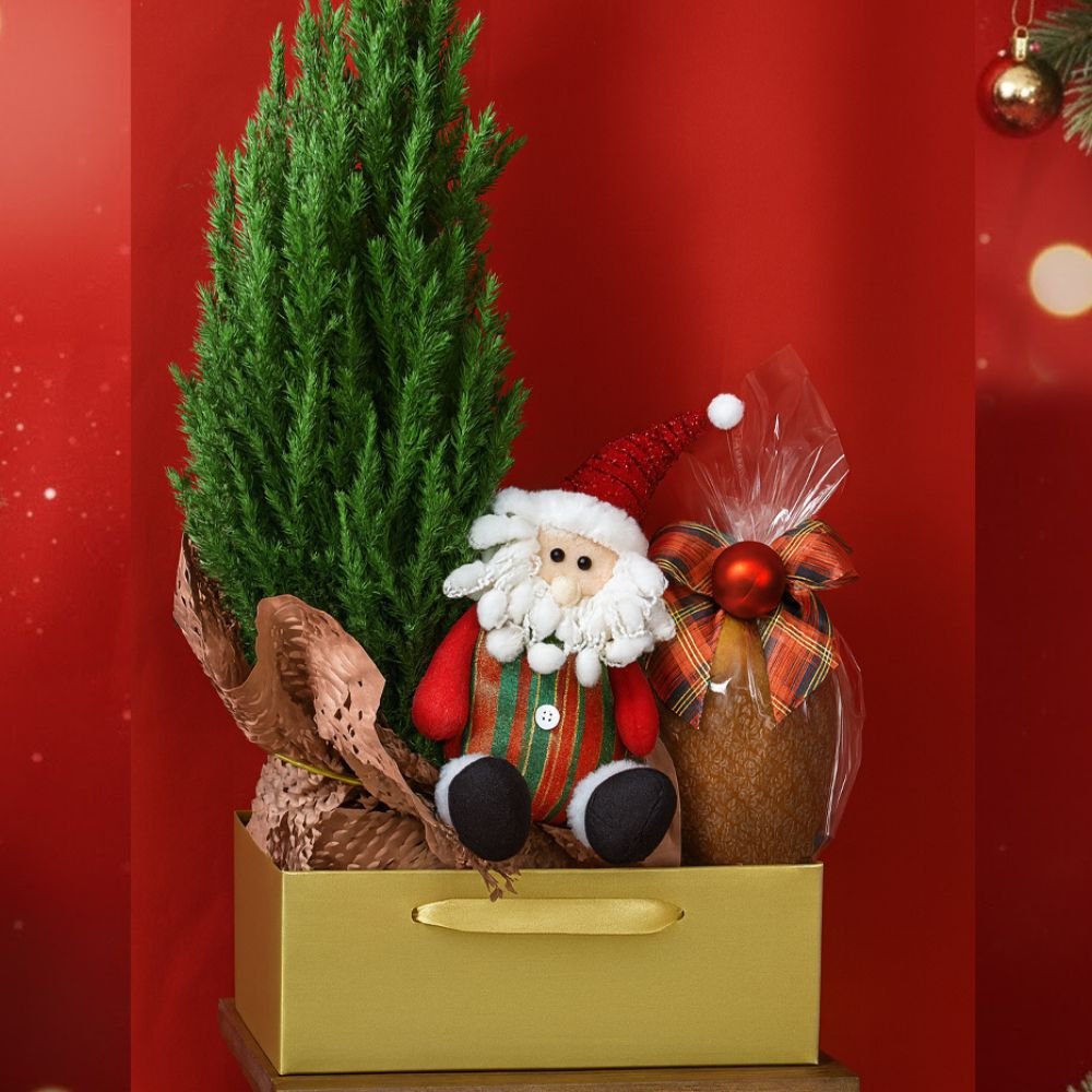 Cesta Natal de Ouro com Pinheirinho e Panettone
