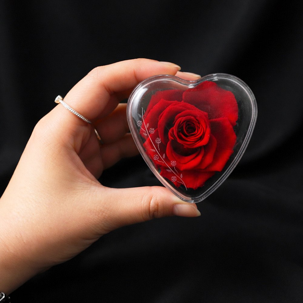 Mini Coração Encantado